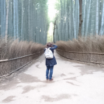 Bamboo forest at Arashiyama near Kyoto Japan 2018