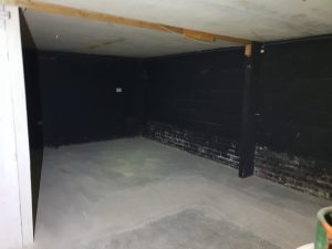 WykD Dave and Clover new Studio
